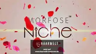 Niche von Morfose