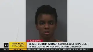 Beaver County woman charged with the deaths of her infant sons