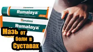 Румалая гель обзор | Мазь от боли в суставах | Боль в пояснице | Himalaya Rumalaya gel #shorts