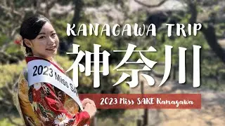 1 day Yokohama Itinerary with Miss SAKE Kanagawa / Miss SAKE 神奈川と巡る横浜一日ぶらり旅【2023 Miss SAKE 神奈川 山田琴子】