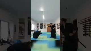 Tenshinryu Hyoho-Chochinbarai #battojutsu  #kampfkunst #samurai #gr&uuml;nbach #schwertkampf #&ouml;sterreich