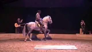 Jaleo Flamenco