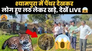 सीकर के श्यामपुरा मे आ गया पैंथर ?पूरा गांव हुआ एक जगह 😱😱
