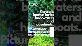 Facts of India | Fact-9 | #viral #india #trending #factsofindia #vlog #tutorial #challenge #news