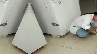 #labrador