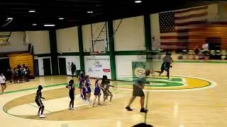 #2 Amiyah Ferguson- Timberland Lady Wolves vs. james island High
