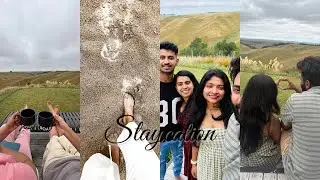 Resetting&Recharging✨||Staycation in Tikokino #newzealandlife #staycation#subscribemychannel #vlog 