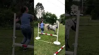 Jumping Max🩷#shorts #shortsvideo #horse #equestrian #pony #horsejumping #horsey #horsegirl