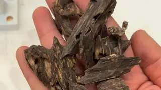 صيدة فيتنام