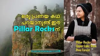 Pillar Rocks Kodaikanal | Upper Lake View | Pine Forest