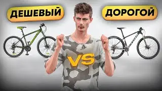 ЕДЕМ НА ВРЕМЯ - ДЕШЕВЫЙ МТБ vs ДОРОГОЙ / Horst Genesis vs Scott Scale 900