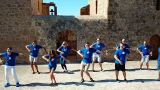 Meet The MySwimPro Team!