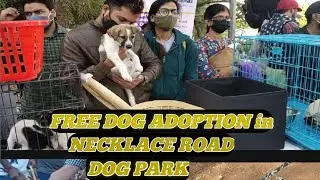 FREE DOG ADOPTION in NECKLACE ROAD || HYDERABAD || DOG PARK 🐕🐶😍