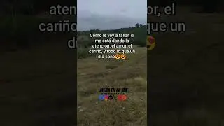 En buenas manos - Diomedes D&iacute;az #mejiaenlavia #fanaticodelavia #vallenato #musica