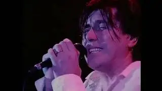 Bryan Ferry - While My Heart Is Still Beating (The B&ecirc;te Noire Tour)
