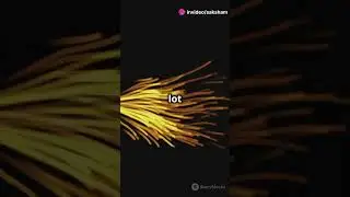 How a Gun Fires a Bullet: Animation Explained!