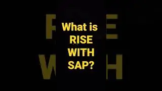 What is RISE WITH SAP?
