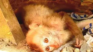 Cameraman sad with tear,See Poor Orphan Axel abandon Sleeping alone Can't Join Group.