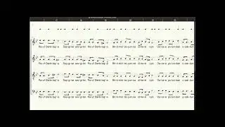 Denktaş'a Saygı Bass