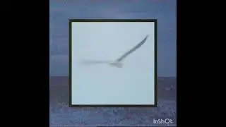 Aaberg - Sail