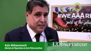 COP22 - Eclairage de Aziz Akhannouch sur l'Initiative marocaine 