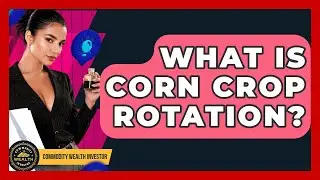 What Is Corn Crop Rotation? - Commodity Wealth Investor