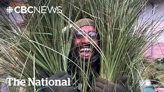 #TheMoment he was grass in Bad Bunny's Super Bowl halftime show
