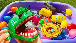 Learn excavator heavy equipment Learn Sea Animals Wild animals reptile 바다동물 야생동물 파충류 자동차 영어이름 배우기