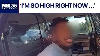'I'm so high': Florida driver arrested after attempted hit-and-run
