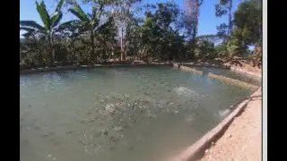 EP70 - My Farm - Lusuac Penarrubia, Abra
