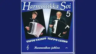Ilta Skansissa