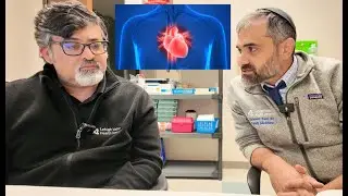 Primary Care discussion with Cardiologist on primary prevention of cardiovascular disease