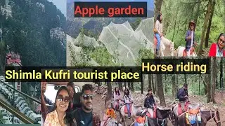 Jharkhand Ranchi To Shimla Kufri || kufri me Ghudsavari | Horse riding and Activities Price in kufri