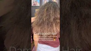 Nanoplastia Hair Treatment for Dry Damage Frizzy Hair | Smooth & Shiny Hair | Hair Repair Treatment