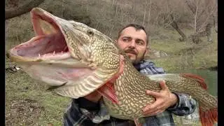 TOP 7 DE LOS ATAQUES DE LUCIO EN YOUTUBE | 2018 de pesca | ME GUSTA 2018