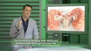 Do We REALLY Only Use 10% of Our Brain?