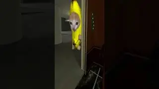 An Army Of Banana Cats Nextbot Gmod in Liminal Hotel 4
