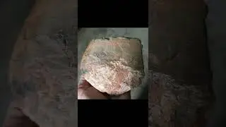 METEORITE COLLECTOR.
