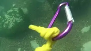 Ardilla Buceo, Fausto y los lobos