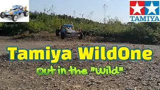 Tamiya Wild One Blockhead Edition in Action! (Running Footage + Upgrades)  WOBH.mp4