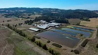 Platt Turner Farm. A Beautiful Dairy in Turner Oregon.