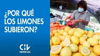 FUERTE ALZA | &iquest;P&oacute;r qu&eacute; est&aacute;n m&aacute;s caros los limones? - CHV Noticias