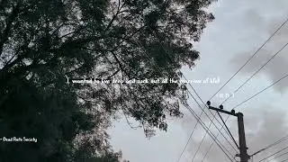 I went to the woods (Dead Poets Society) 