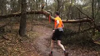 RUNFORESTRUN Holtingerveld 2021