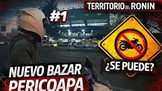 Nuevo Bazar Pericoapa | Territorio del Ronin #1
