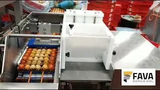 Fava Giorgio Axel SPDE Modular Skewering Machine for Meatballs