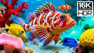 🌊 16K HDR Dolby Vision | Secrets of the Deep Sea &mdash; Luminous Fish & Ocean&rsquo;s Hidden Wonders 🌌