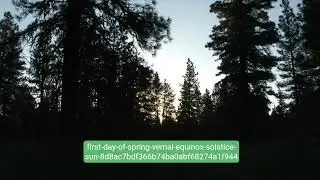 Understanding the Vernal Equinox  The First Day of Spring