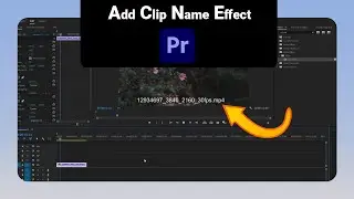 How to Add Clip Name Effect on Premiere Pro [NEW]