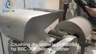 crushing dry undaria pinnatifida by BSC-300  coarse crusher